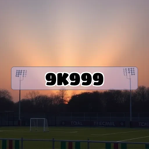 9k999.com Programa VIP